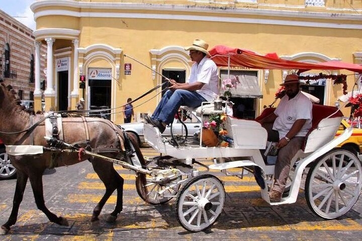 Private Tour Guide in Merida for a Customisable Tour