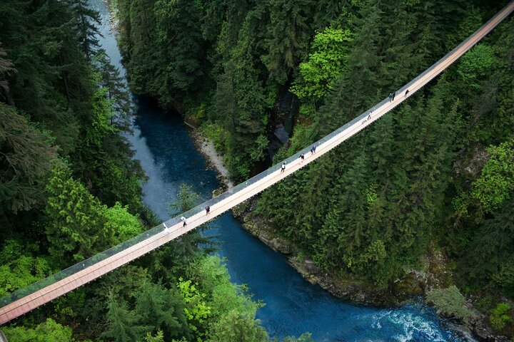 Capilano Suspension Bridge Park Ticket