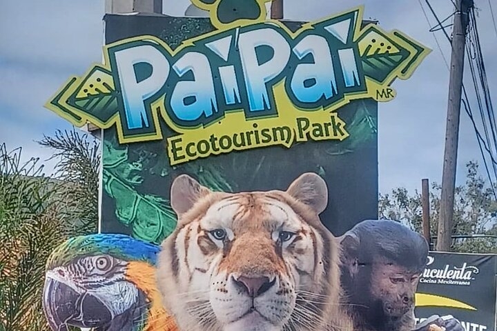 Pai Pai Rescue Zoo Transportation & Tour Option