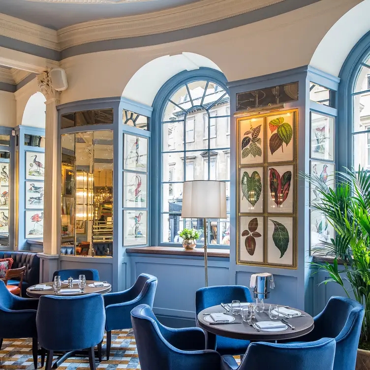 The Ivy Bath Brasserie and Garden