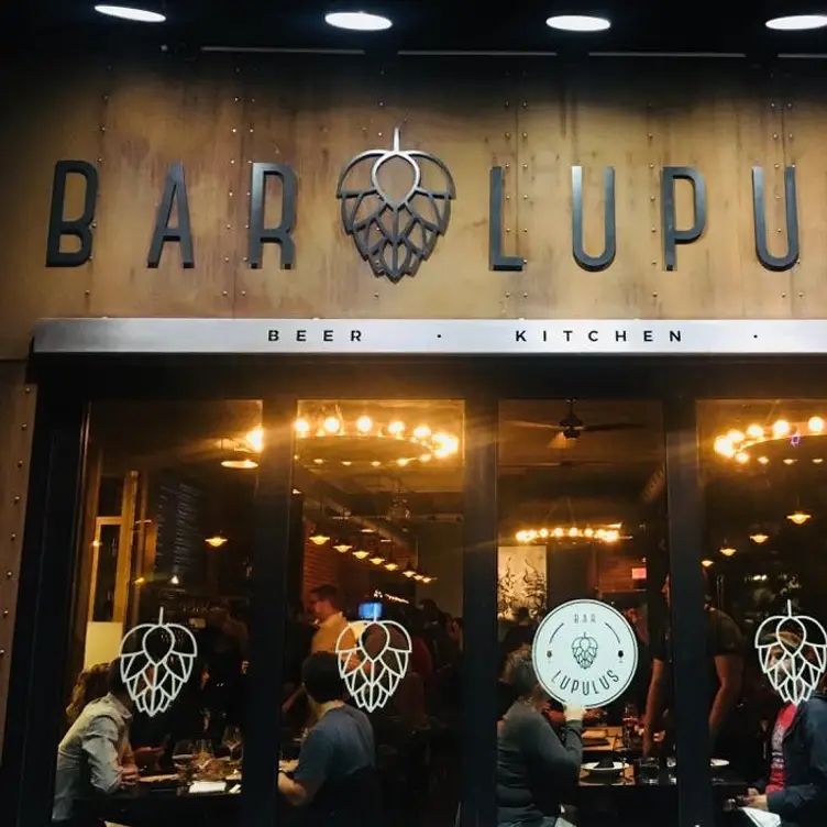 Bar Lupulus