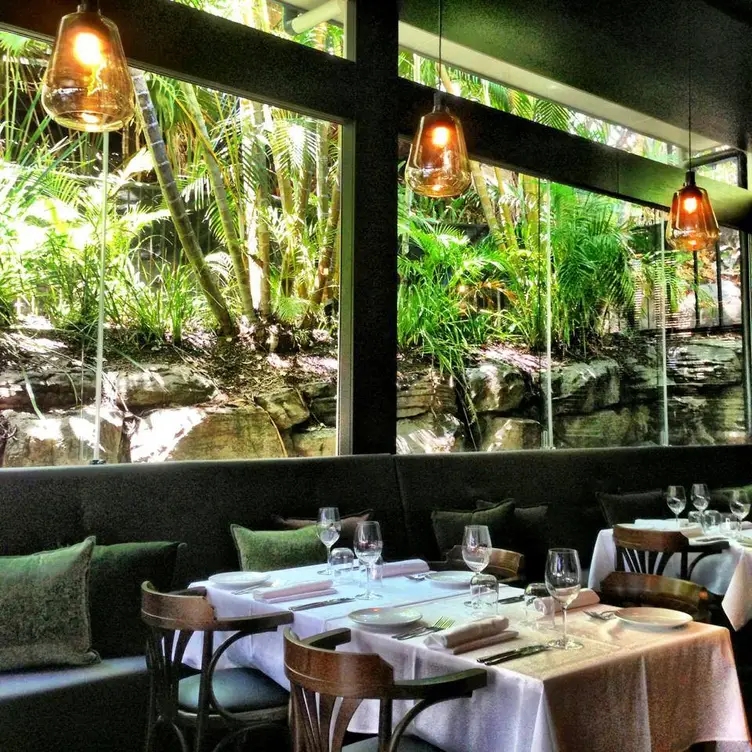 Locale Restaurant and Bar Noosa