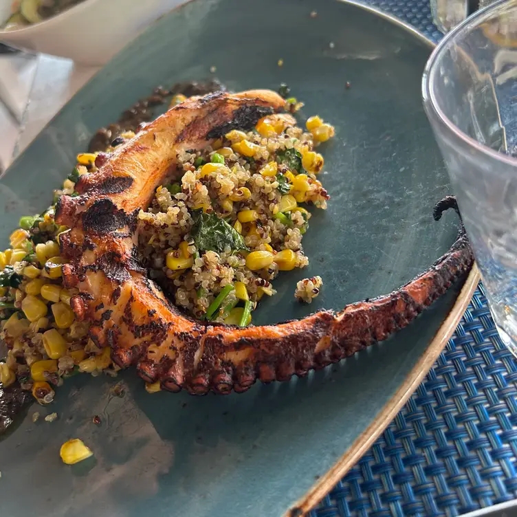 Rappahannock Oyster Bar at The Wharf