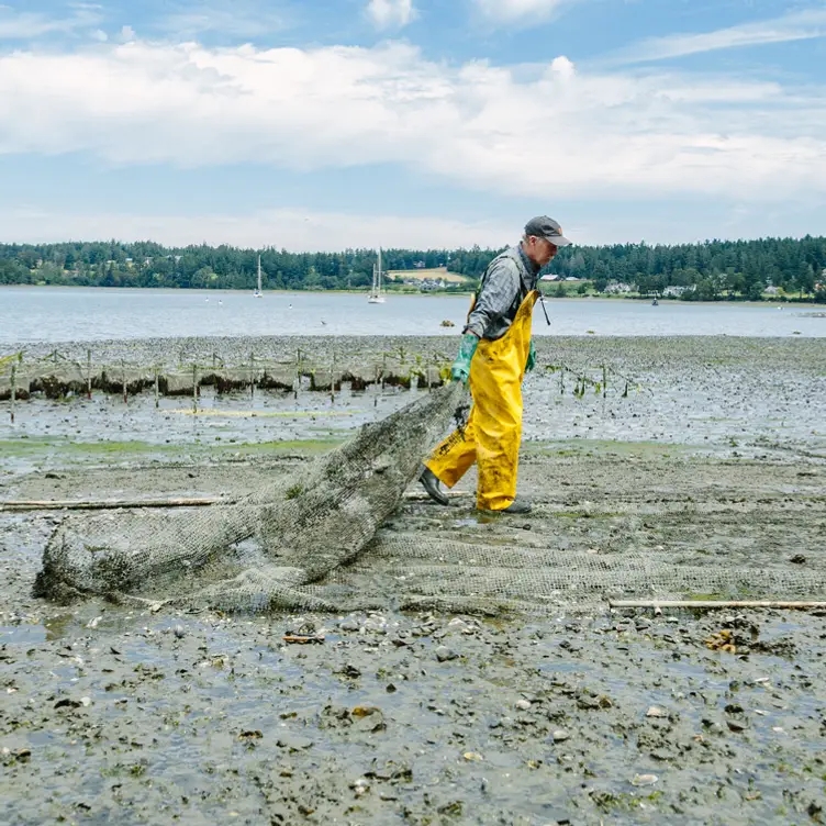 Westcott Bay Shellfish Co