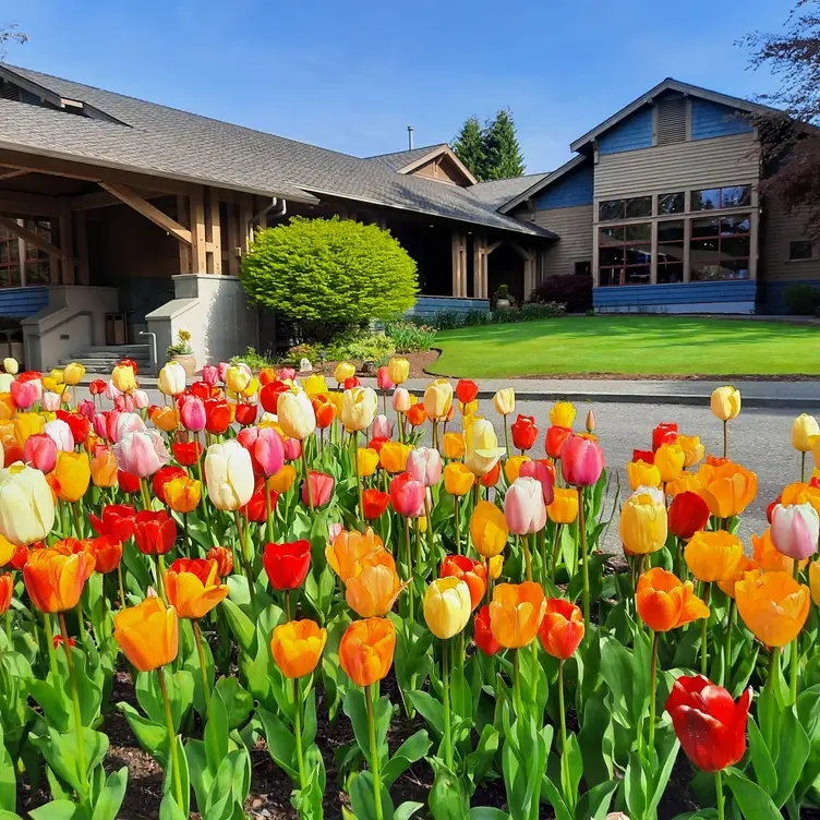 Great Blue Heron Grill at Semiahmoo Country Club