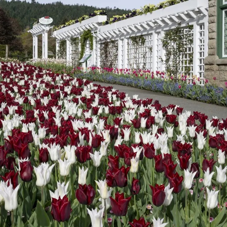 The Butchart Gardens - The Dining Room