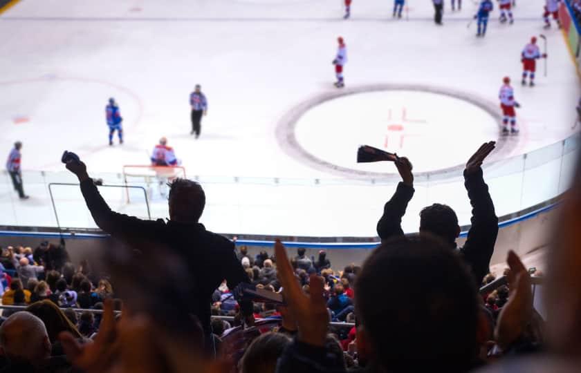 Sudbury Wolves at Niagara Icedogs