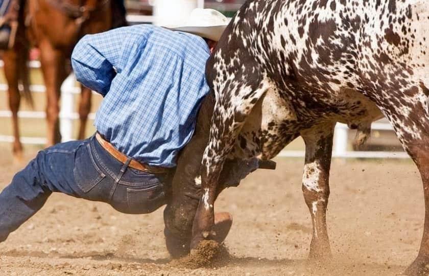 Larimer County Fair Rodeo - Tuesday