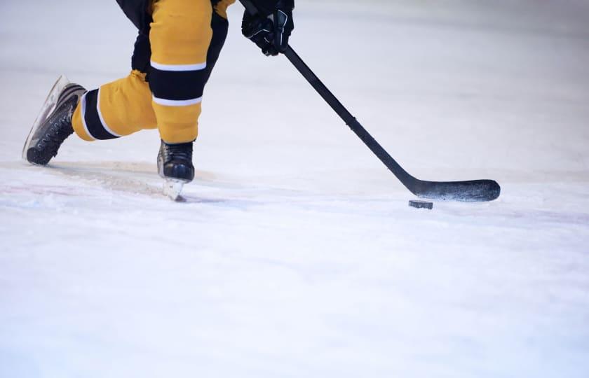 Liu Sharks vs. Alaska Fairbanks Nanooks Men's Ice Hockey