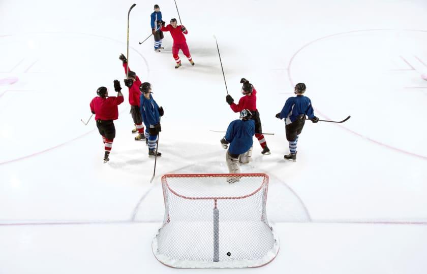 Minot Minotauros at Aberdeen Wings