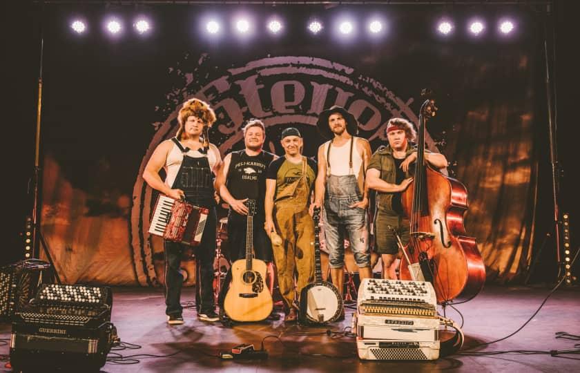 Steve 'n' Seagulls