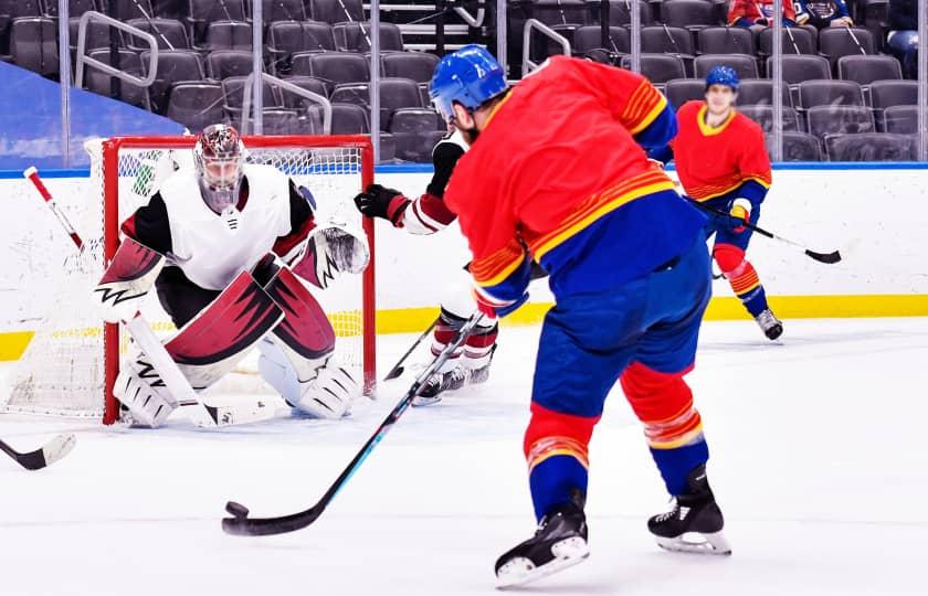 New York Rangers at St. Louis Blues