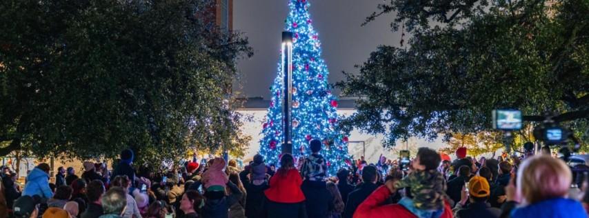 Holiday Tree Light Show