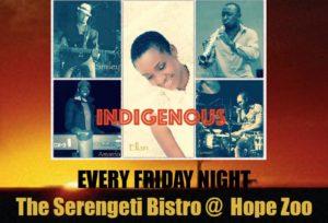 Friday Night Live Band Indigenous
