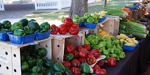 Lake Mary Farmers Market