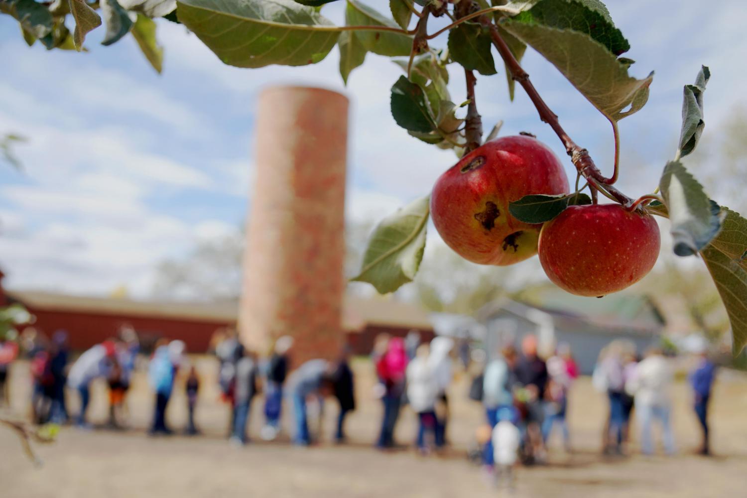 Schweiger Ranch Open Day - October 2022
Sat Oct 15, 2:00 PM - Sat Oct 15, 3:00 PM