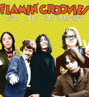 Flamin' Groovies - Rock band