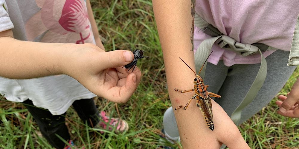 Entomology for Kids