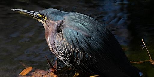 Interpretative Tour of Fenney Springs