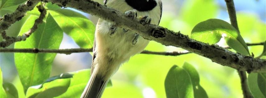 Bird Walk: Bethine Church River Trail