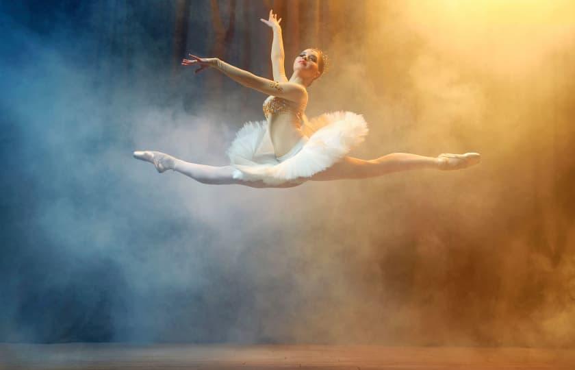 The National Ballet of Ukraine