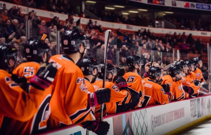 South Carolina Stingrays at Greenville Swamp Rabbits