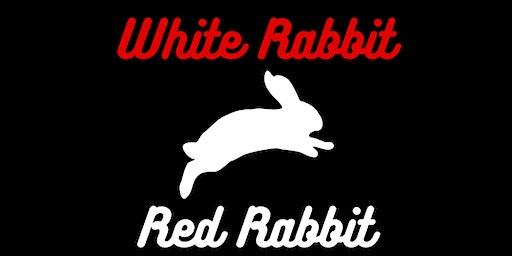 White Rabbit Red Rabbit