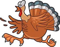 RRRC Turkey Trot 10K presented by Wegmans