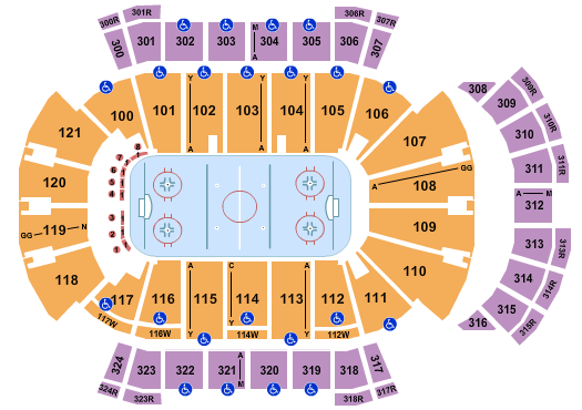 Jacksonville IceMen vs. Greenville Swamp Rabbits