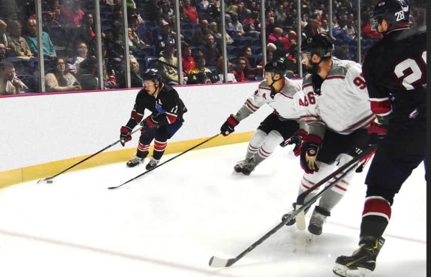 Pensacola Ice Flyers at Huntsville Havoc