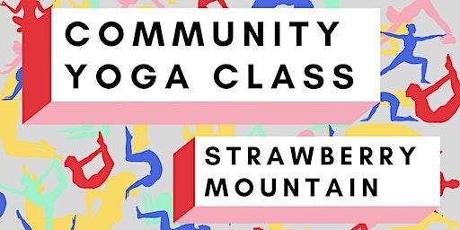 Community Yoga Classes