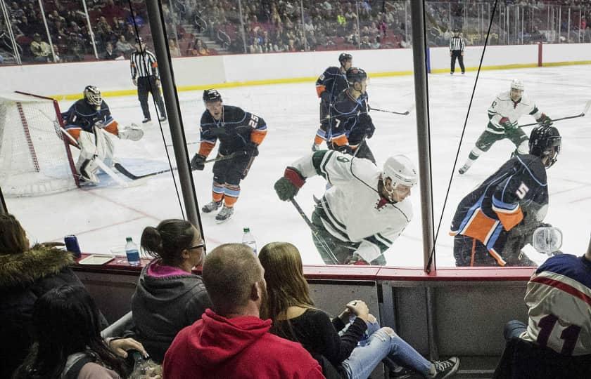 Springfield Thunderbirds at Iowa Wild