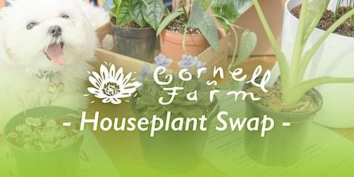 January Houseplant Swap at Cornell Farm