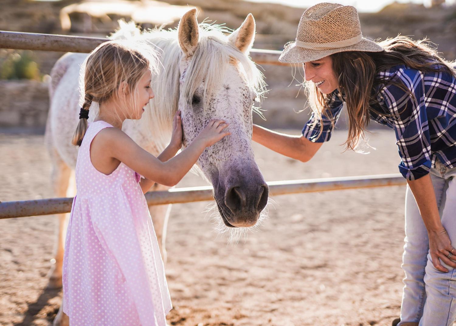 Spring Horse Camp