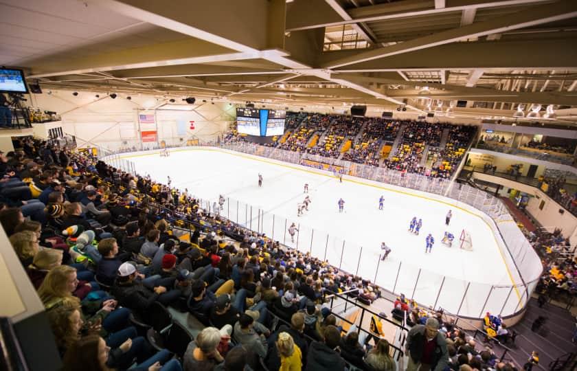 Ferris State Bulldogs at Michigan Tech Huskies Men's Hockey