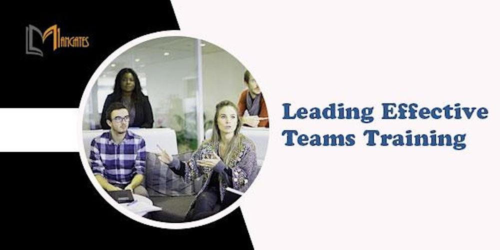 Leading Effective Teams 1 Day Training in Colorado Springs, CO