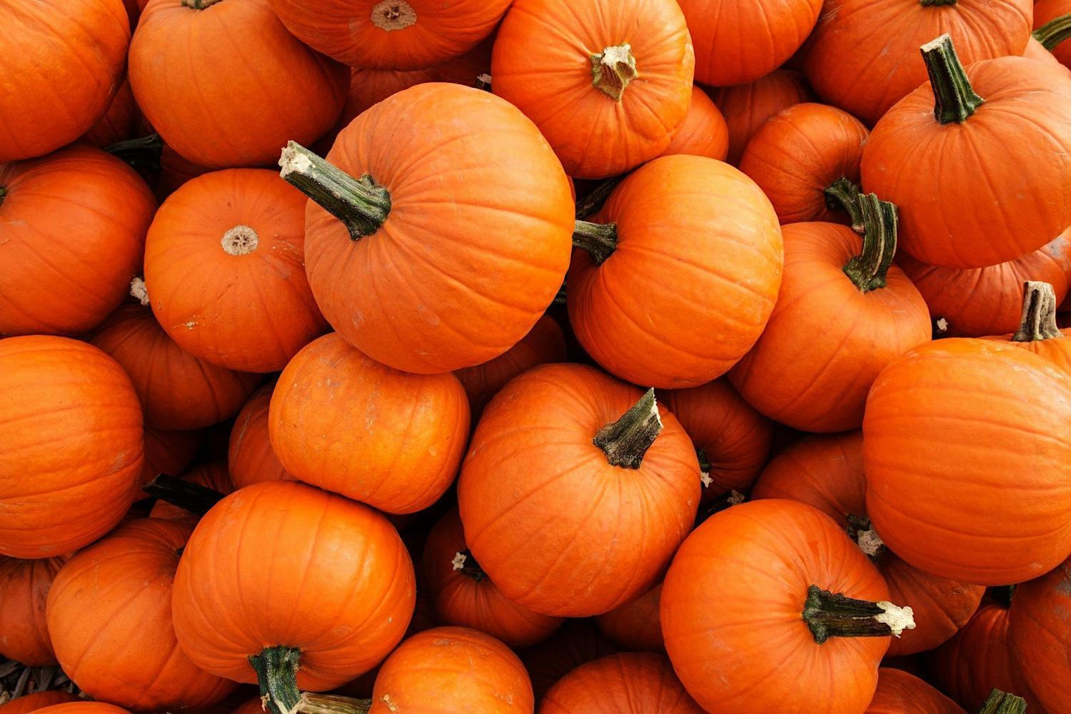 Pepper Creek - Pumpkin Carving Festival
Sat Oct 22, 3:00 PM - Sat Oct 22, 5:00 PM
in 2 days