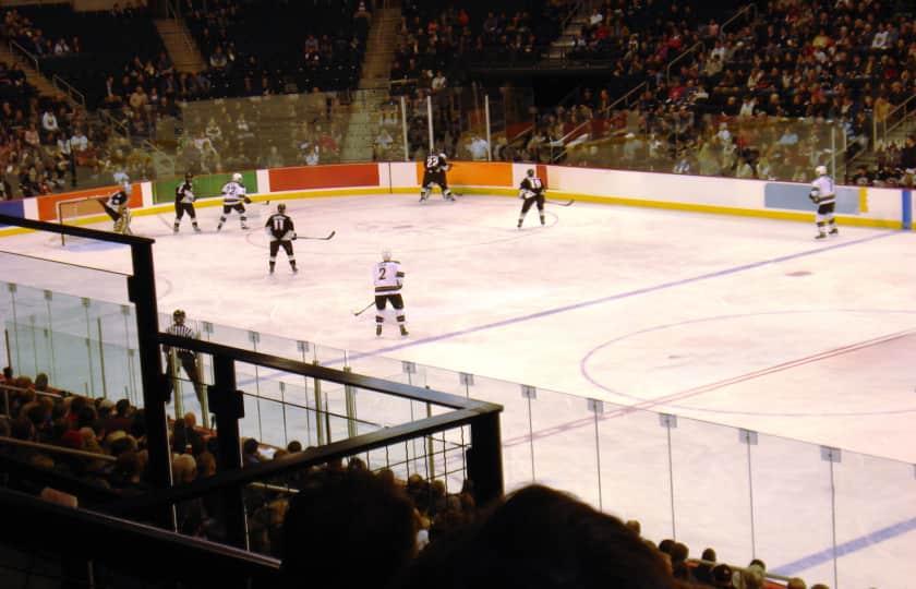 Texas Stars at Manitoba Moose