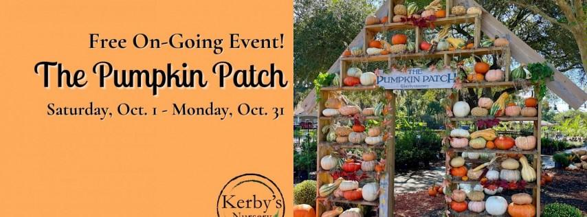 Pumpkin Patch at Kerby's Nursery