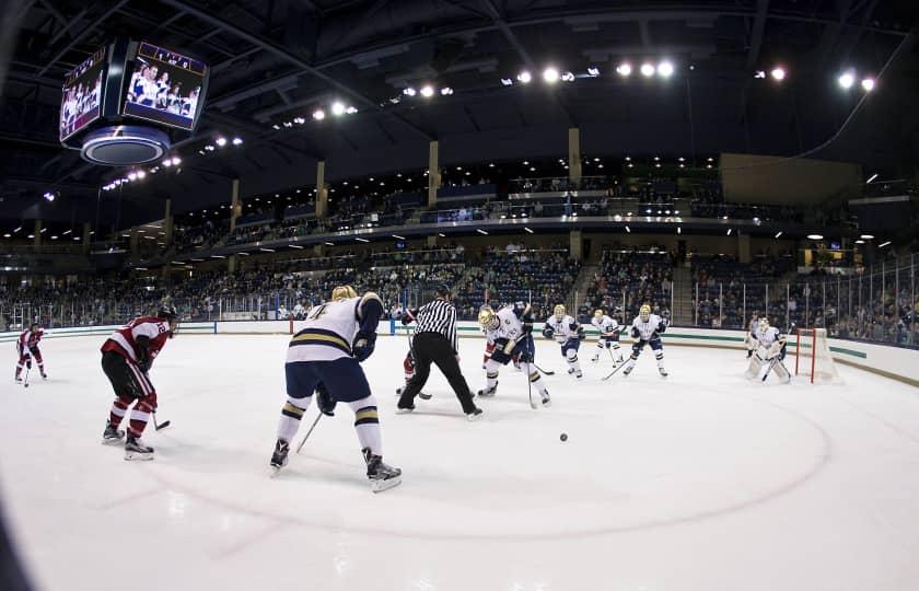 Brown Bears at Northeastern Huskies Men's Hockey