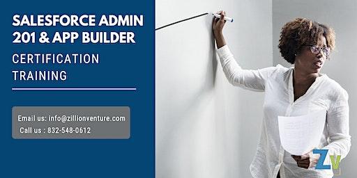 Salesforce Admin 201 & App Builder Certification  in West Palm Beach, FL