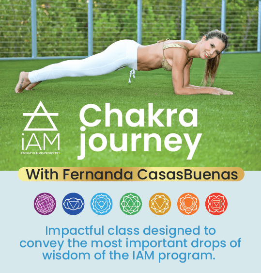 CHAKRA JOURNEY