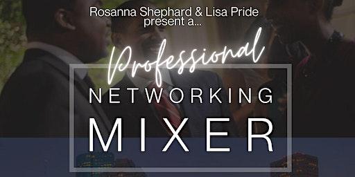 Professional Networking Mixer: Houston!