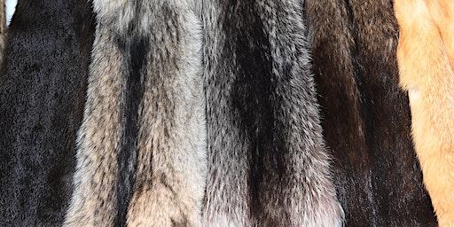 Woman Only Fur handling Workshop- Gray