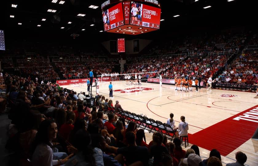 Florida Gators at Stanford Cardinal Women's Volleyball