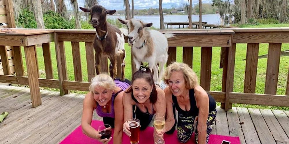 Goat Yoga Tampa benefitting Community Pet Project; Fundraiser - 1/29/23