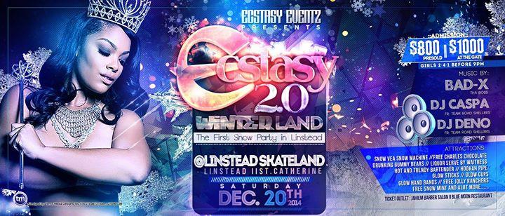 Ecstasy 2.0 Winter land