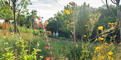 Nature Walk Through Through The Lens