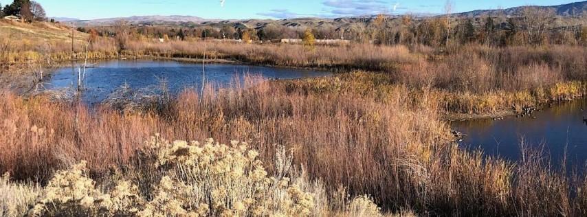 Black Friday Birding at Hyatt Hidden Lakes Reserve