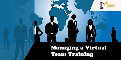 Managing a Virtual Team 1 Day Training in Providence, RI